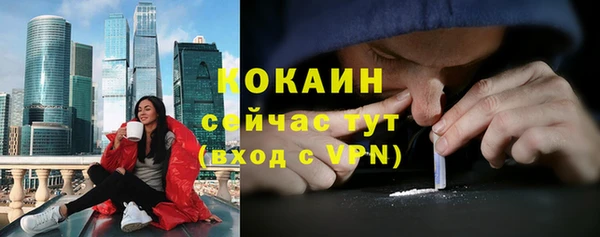 ешки Арсеньев