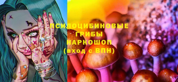 ешки Арсеньев