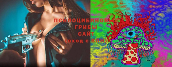 ешки Арсеньев