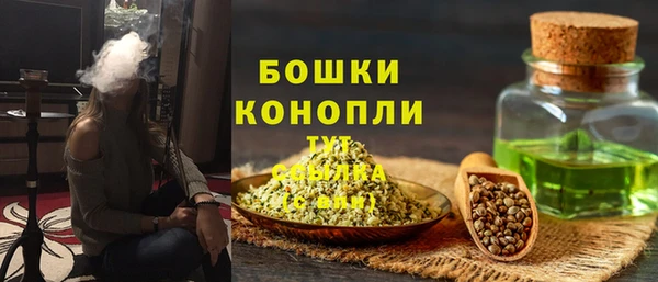 ешки Арсеньев