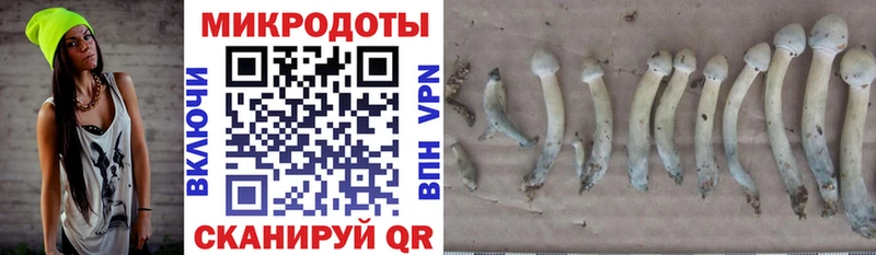 omg Мышкин Псилоцибиновые грибы MAGIC MUSHROOMS наркошоп